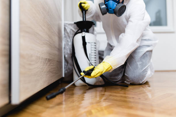 Best Local Pest Control Services  in Augusta, ME