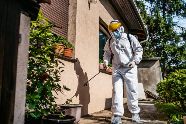 Best Pest Removal Services  in Augusta, ME