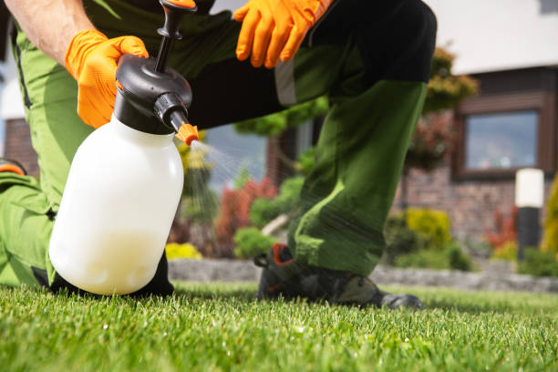 Best Residential Pest Control  in Augusta, ME