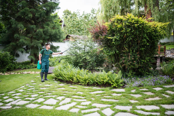 Best Best Pest Control Companies  in Augusta, ME