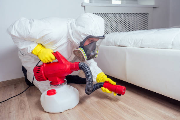 Best Flea Control Services  in Augusta, ME