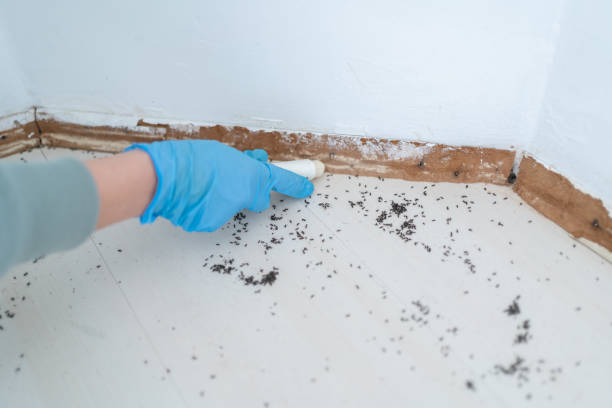 Best Cockroach Control Services  in Augusta, ME