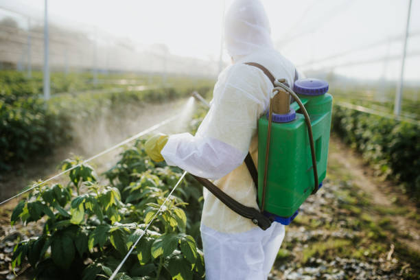 Best Exterminator Services  in Augusta, ME